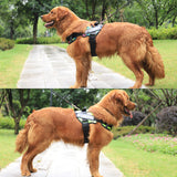 Dog Adjustable Nylon Personalized Harness