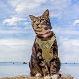 Tactical Cat Harness