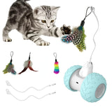 Indoor Cats Interactive Toys