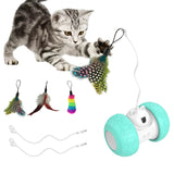 Indoor Cats Interactive Toys