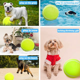 Dog Giant Tennis Ball Chew Toy