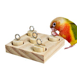 Parrot Interactive Training Block Puzzle DIY Toy