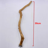 Parrot Tree Stick Paw Stand