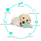 Dog Molar Toothbrush Toys