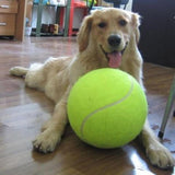 Dog Giant Tennis Ball Chew Toy