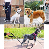 Dog Strong Reflective Leash