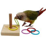 Parrots Training Plastic Rings Toys