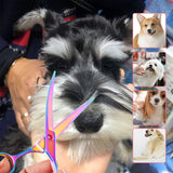 Dog Professional Hair Scissors