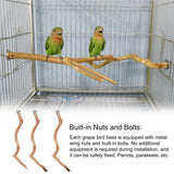 Parrot Tree Stick Paw Stand