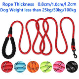 Dog Strong Reflective Leash