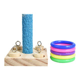 Parrots Training Plastic Rings Toys