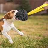 Dog  Interactive Chew Ball Toy