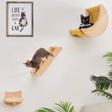 Wall-mounted Pet Wood Furniture Scratching Toy