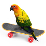 Mini Skateboard Bird Training Toys