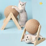 Cat Interactive Scratching Ball Toy