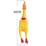 Chicken Squeeze Sound Dog Toy