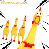 Chicken Squeeze Sound Dog Toy