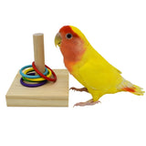 Parrots Training Plastic Rings Toys