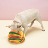 Dog  IQ Training Sniffing Ball Toy