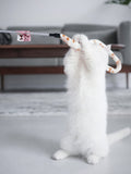 Teaser Wand Cat Interactive Toy