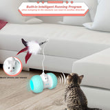 Indoor Cats Interactive Toys