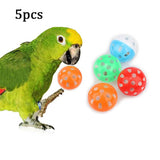 Mini Skateboard Bird Training Toys