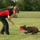 Dog  Interactive Chew Ball Toy