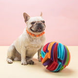 Dog  IQ Training Sniffing Ball Toy