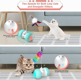 Indoor Cats Interactive Toys