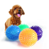 Dog Teeth Cleaning TPR Ball Toy