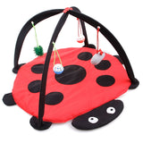 Portable Cat Tent Funny Play Bed Toys