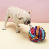 Dog  IQ Training Sniffing Ball Toy