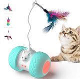 Indoor Cats Interactive Toys