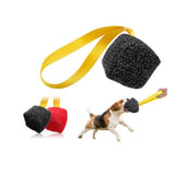 Dog  Interactive Chew Ball Toy