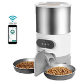 Double Meal Smart APP Cat Feeder