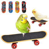 Mini Skateboard Bird Training Toys