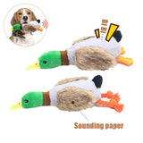 Dog Squeak Sound Plush Duck  Toy