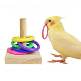 Parrots Training Plastic Rings Toys